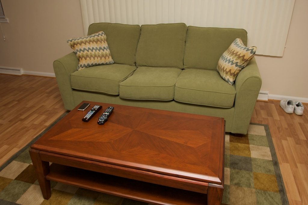 A green sofa with patterned cushions behind a warm wooden coffee table on a soft rug